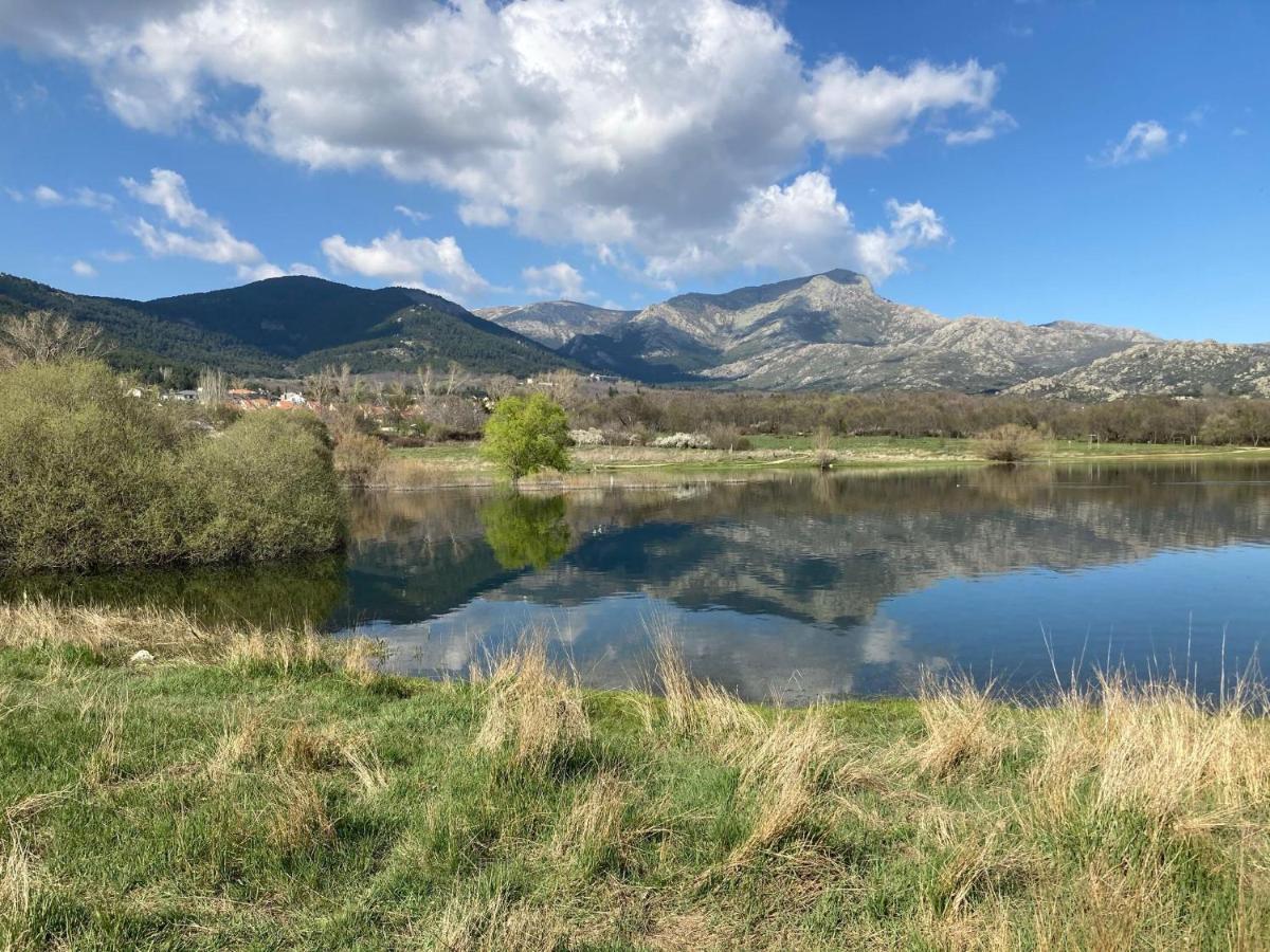 Los Cedros, Gran Chalet Con Piscina Y Apartamento En Navacerrada Villa Exteriör bild