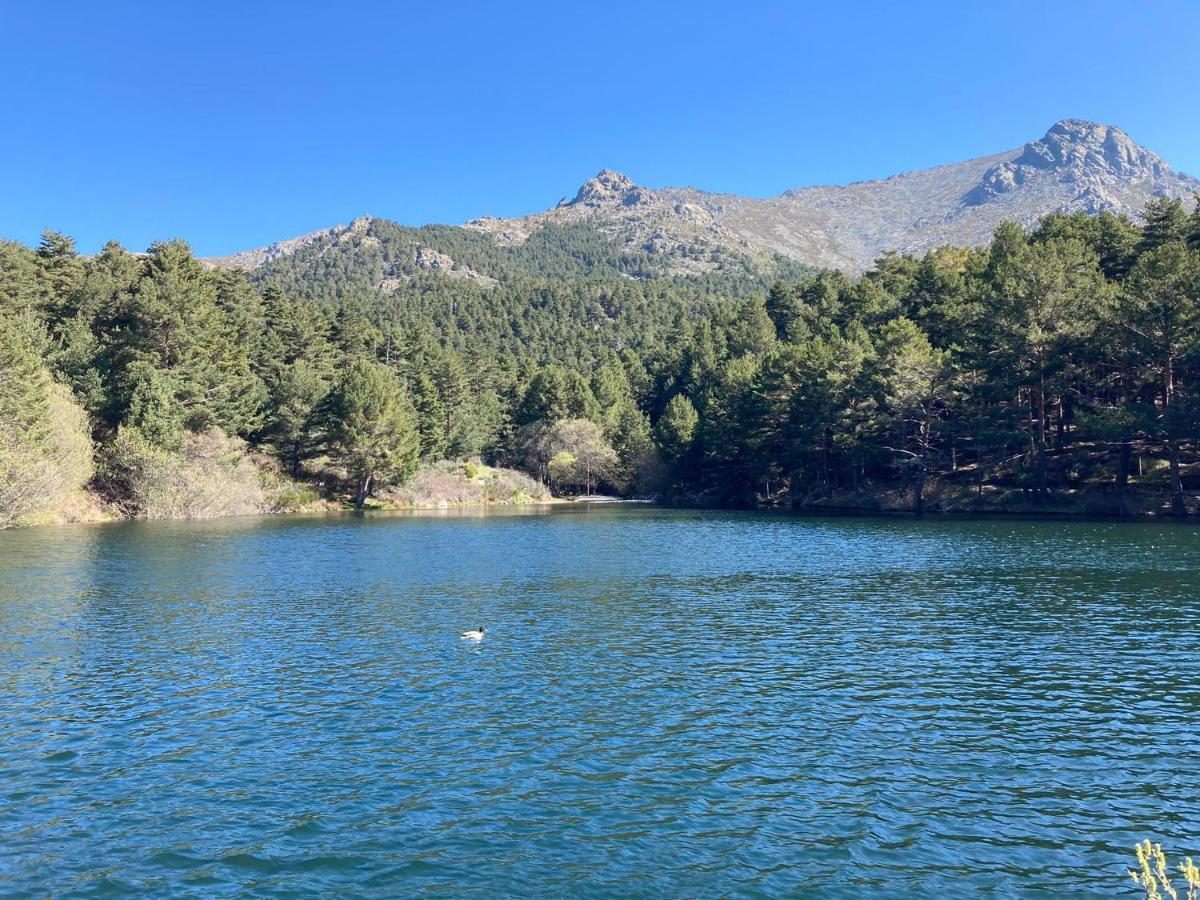 Los Cedros, Gran Chalet Con Piscina Y Apartamento En Navacerrada Villa Exteriör bild